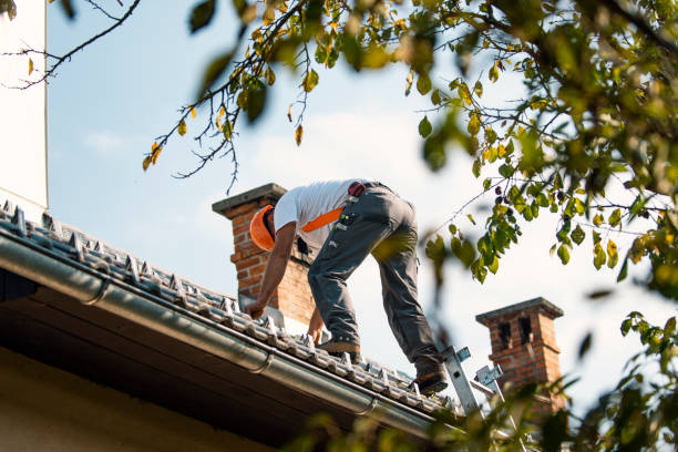 Best Roof Gutter Cleaning  in Fairdale, PA